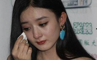 赵丽颖新数据最新爆料,演艺事业再攀高峰