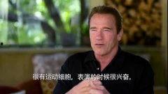 阿诺视频爆料最新,揭秘娱乐圈最新内幕