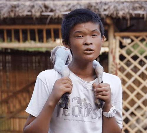 黄新龙最新爆料,揭秘事件背后惊人真相