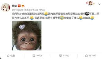 杨紫微博最新爆料事件,揭秘娱乐圈幕后真相