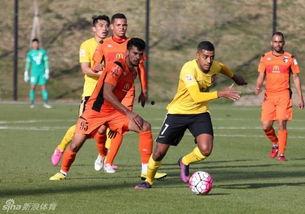 足球爆料最新消息今天,最新爆料揭示赛场幕后真相