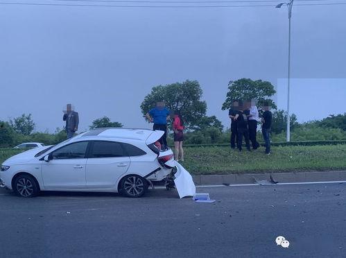 美国爆料人车祸视频最新,惊心动魄一幕引关注