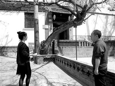 沙河村最新爆料新闻事件,揭秘神秘事件背后的惊人真相